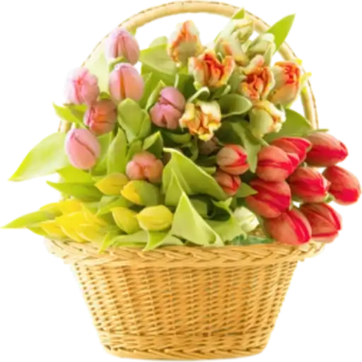 Цветы 2 preview