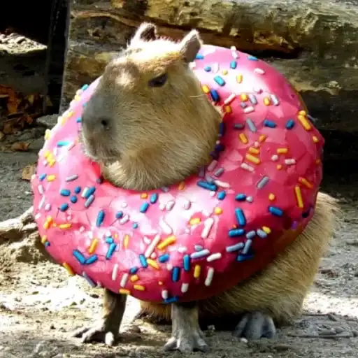 CapybaRa preview