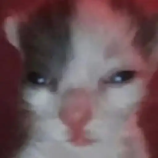 Кис кис я котик ты котик preview