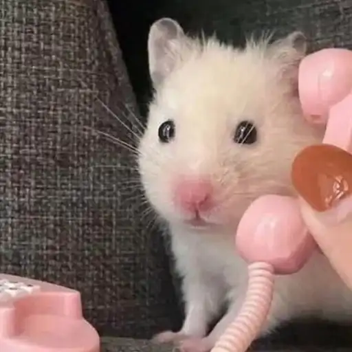 ТОКСИК😊КОЛЛЕКШН preview