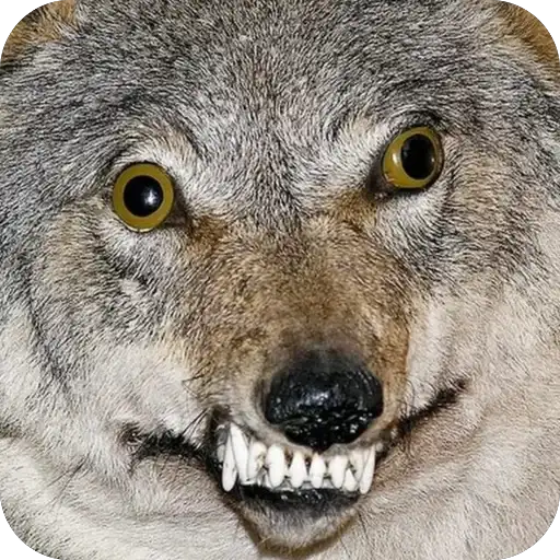 ТОКСИК😊КОЛЛЕКШН preview