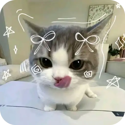 Sticker 🐱