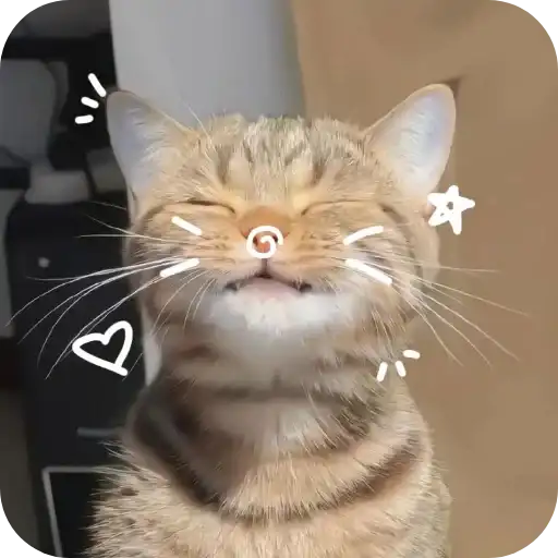 Sticker 🐱