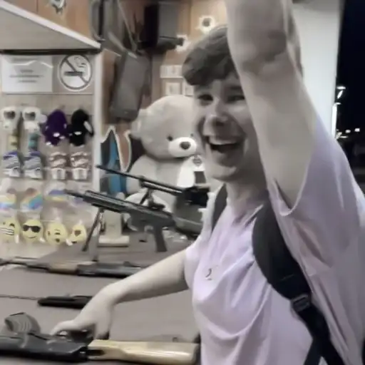 🌿 windy31 preview