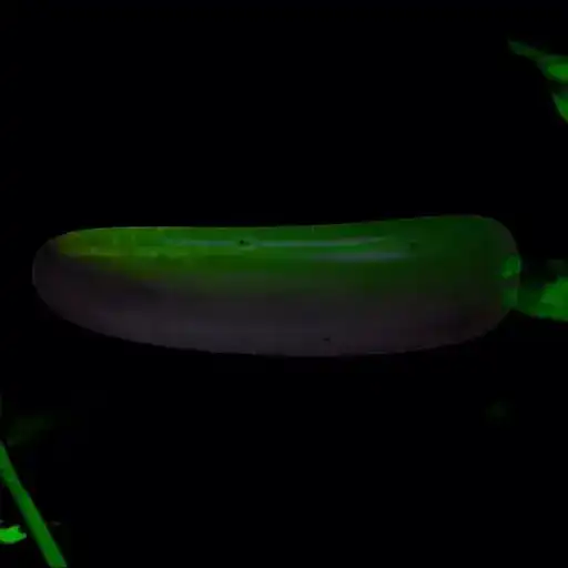 PHONK ОТ КОПАТЫЧА preview