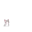 Animated Msg Warning Error Emos Chat preview