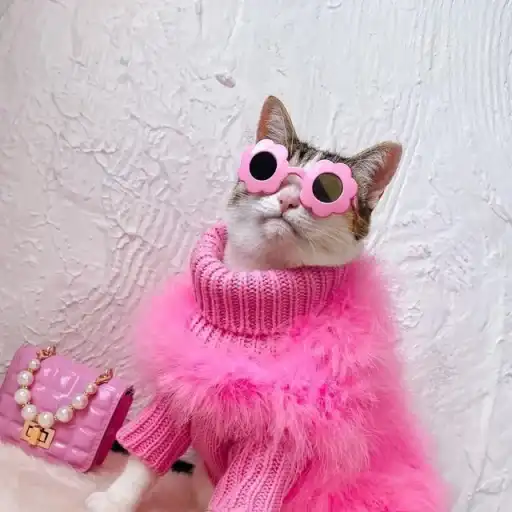 BIMBO ANIMALS preview