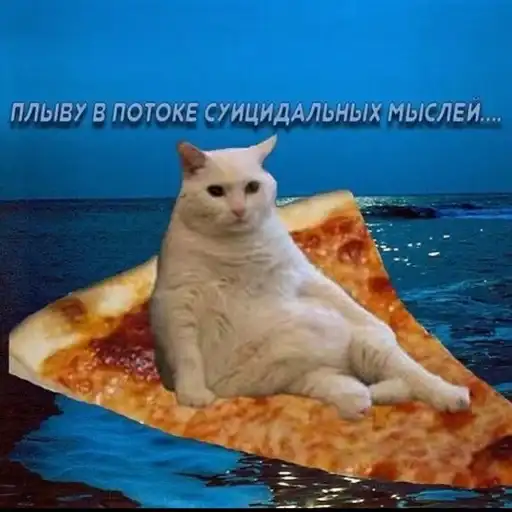 Вселенная котиков preview