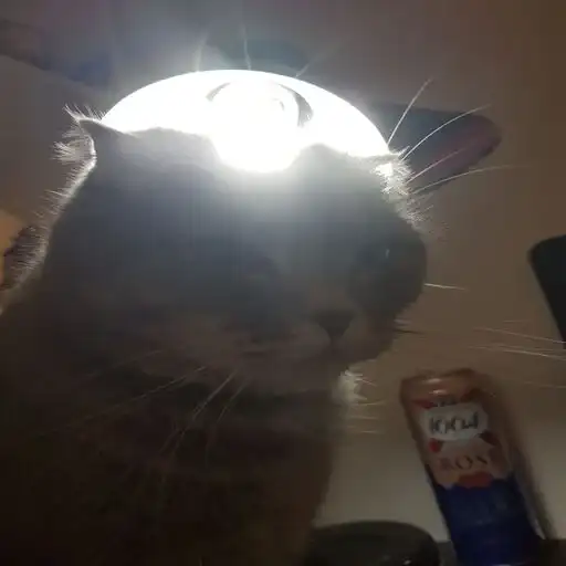 Sticker 😶‍🌫️