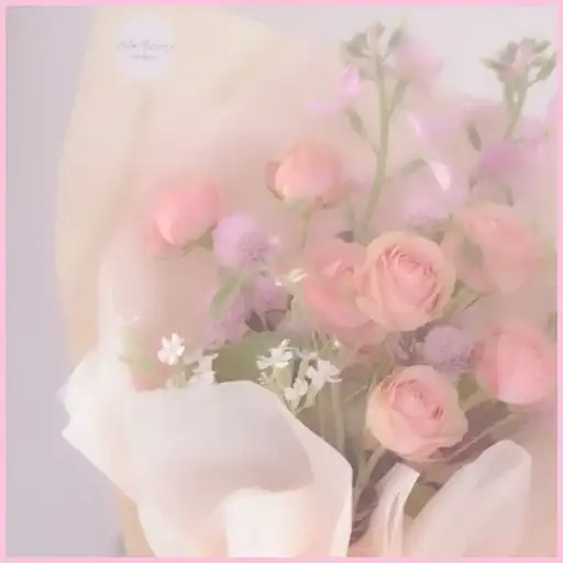 🌷 ᴇʟʏsɪᴀ & ᴡɪᴅɢᴇᴛs preview