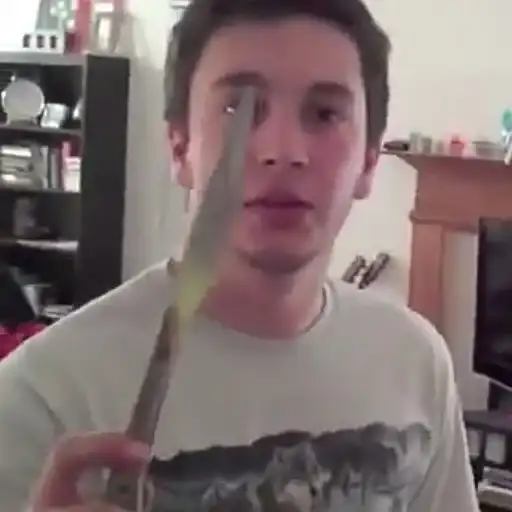 Twenty One Pilots Stickers preview