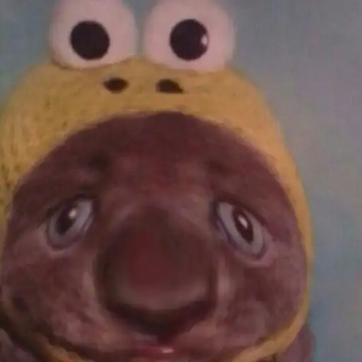 Выпукиваем котов preview