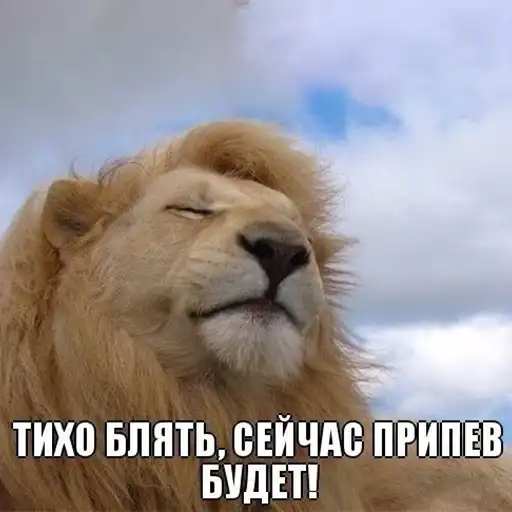 Старые мемчики preview