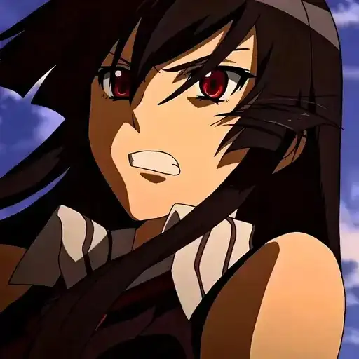 Убийца Акаме preview