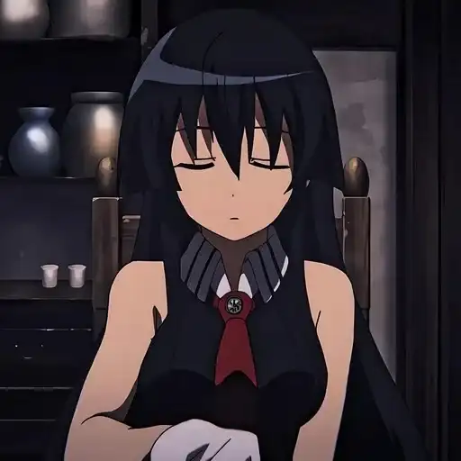 Убийца Акаме preview