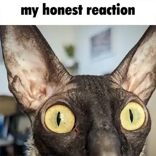 Static Pixel preview