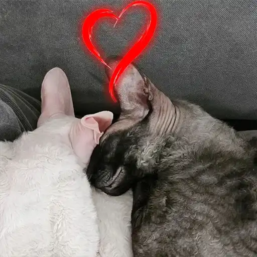 Static Pixel preview