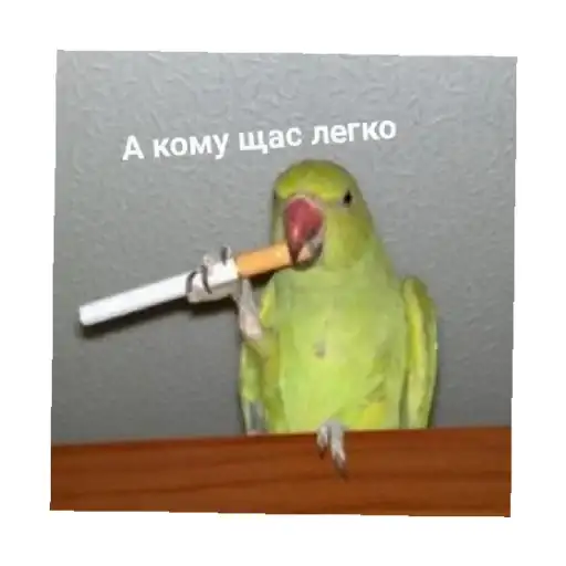 Sticker 🚬