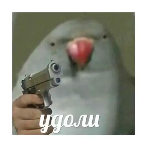 Sticker 🔫