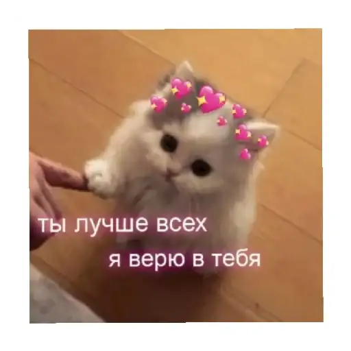 Sticker 🥰