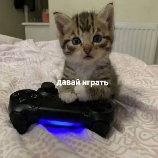 Sticker 🎮