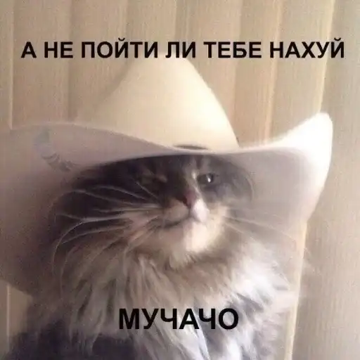 Sticker 🤠