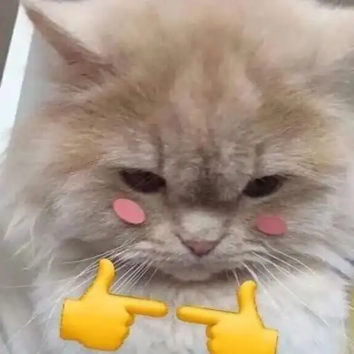 Sticker 👉