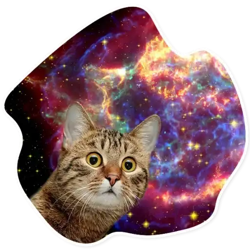 Space Cats preview
