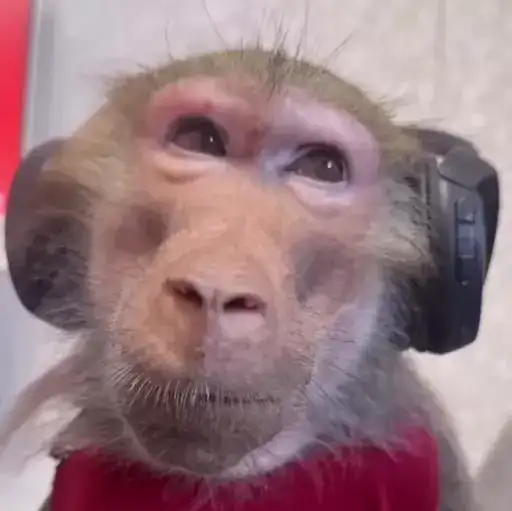 Создавай 🔞 preview