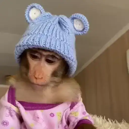 Создавай 🔞 preview