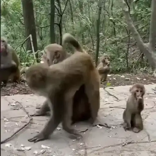 Создавай 🔞 preview