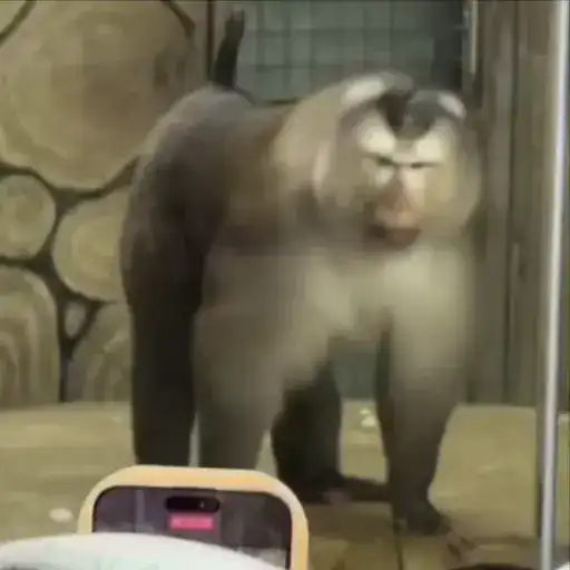 Создавай 🔞 preview