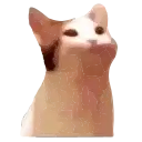 Popping_cat_animated preview