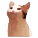 Popping_cat_animated preview