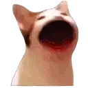 Popping_cat_animated preview