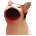 Popping_cat_animated preview