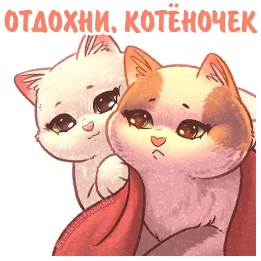 Sticker 😽
