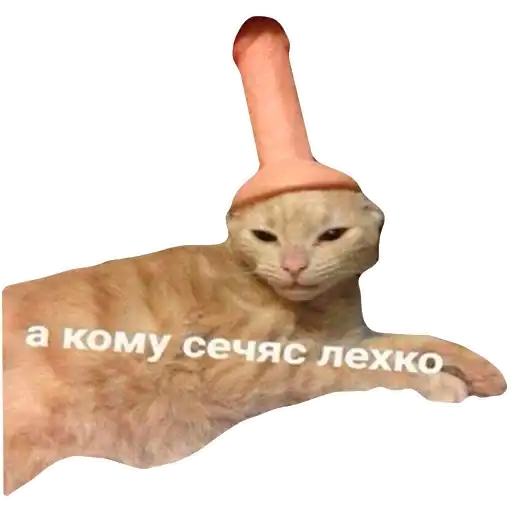 Sticker 🧐