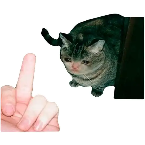 Sticker 🖕