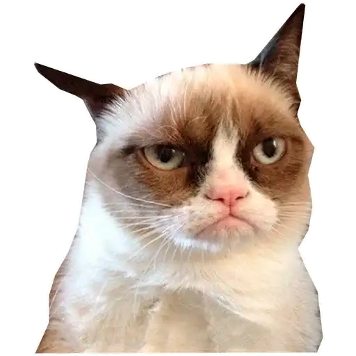 Sticker 😾