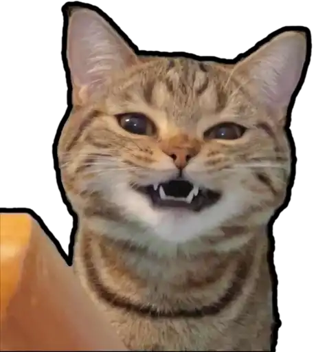 Kucing 🐈 🐈 preview