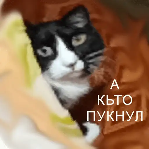 Чикибамбони preview