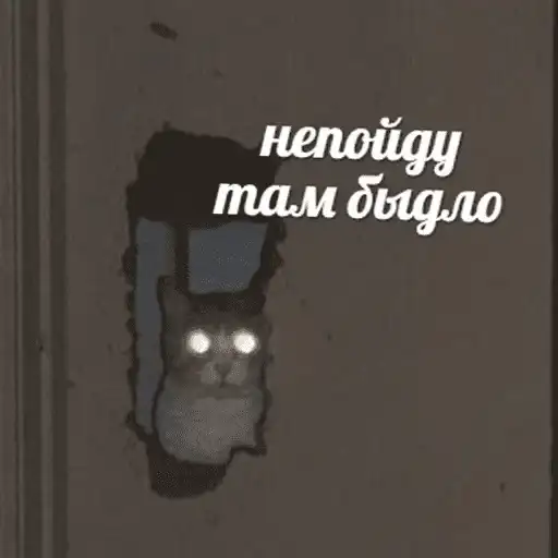 Чикибамбони preview