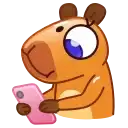 Капибара preview