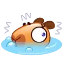 Капибара preview