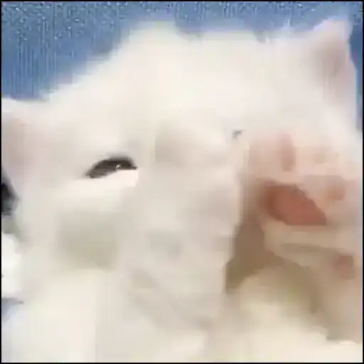 Смотри канал preview