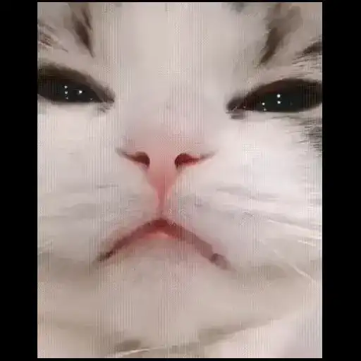 Смотри канал preview