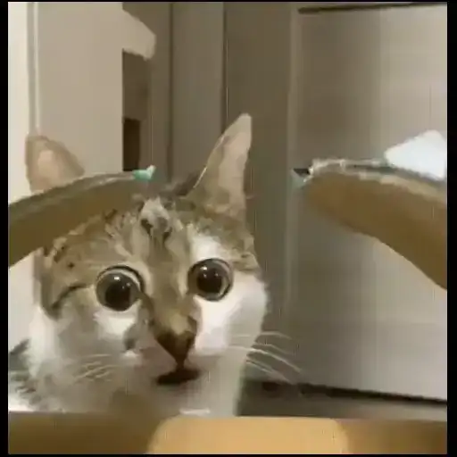 Смотри канал preview