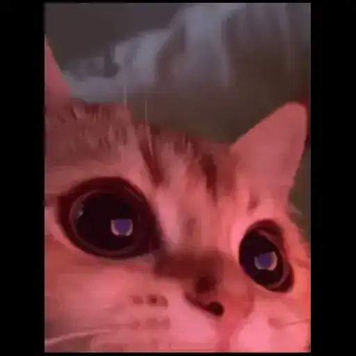 Смотри канал preview