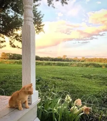 Love for aesthetics preview